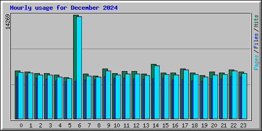 Hourly usage for December 2024