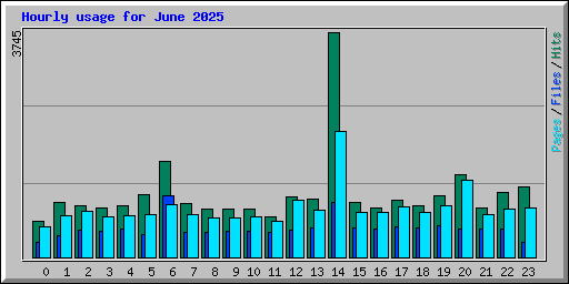 Hourly usage for June 2025