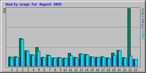 Hourly usage for August 2025
