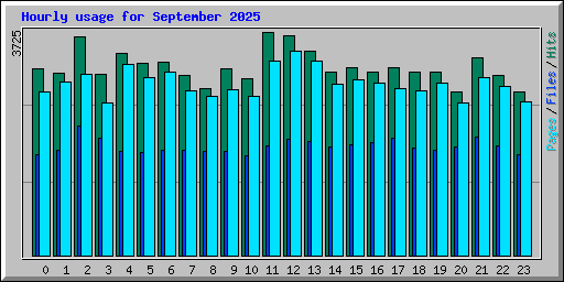 Hourly usage for September 2025